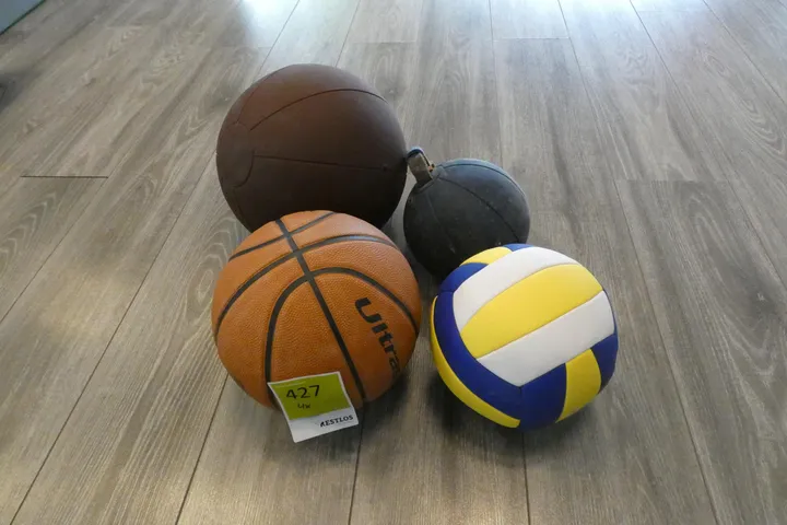 4x Bälle (Medizinball, Basketball, Volleyball), diverse